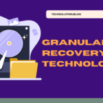 Granular Recovery Technology