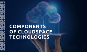 Components of Cloudspace Technologies