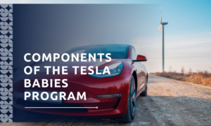 Components of the Tesla Babies Program