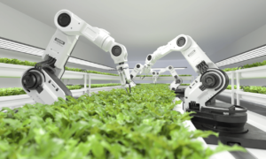 Robotics in Agriculture