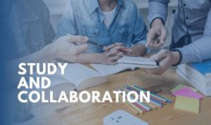 Study and Collaboration