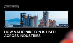 How Valio Niketon is Used Across Industries