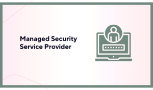 Managed Security Service Provider