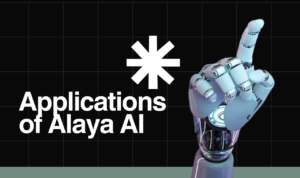 Applications of Alaya AI