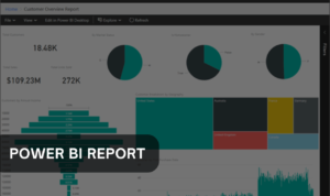 Power BI Report