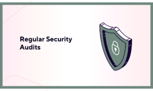 Regular Security Audits