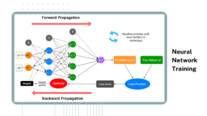 Neural Network Training