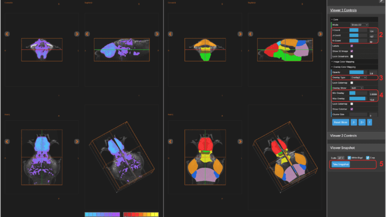 How to Use Breeze Zebrafish Software for Accurate Research