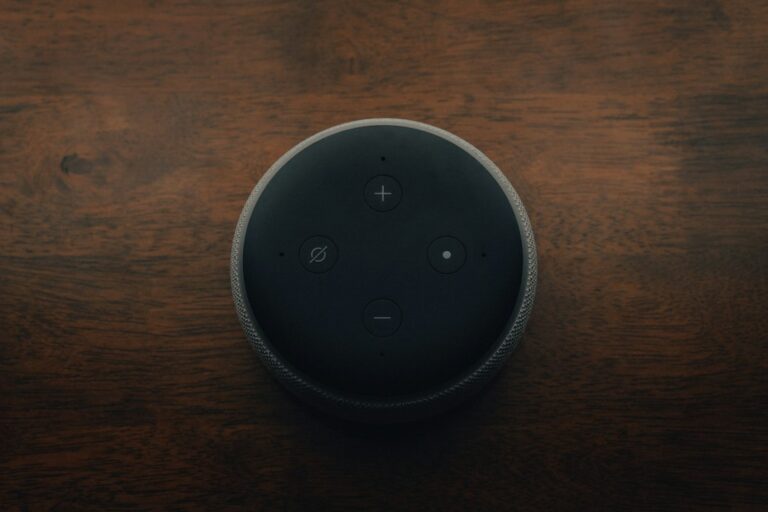 How to Find Your Alexa IP Address on the Network Easily