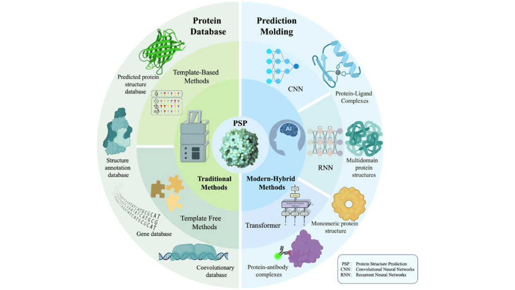 Protein Family Classification