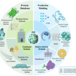 Protein Family Classification