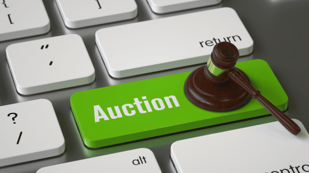 Maxamet Software Auction
